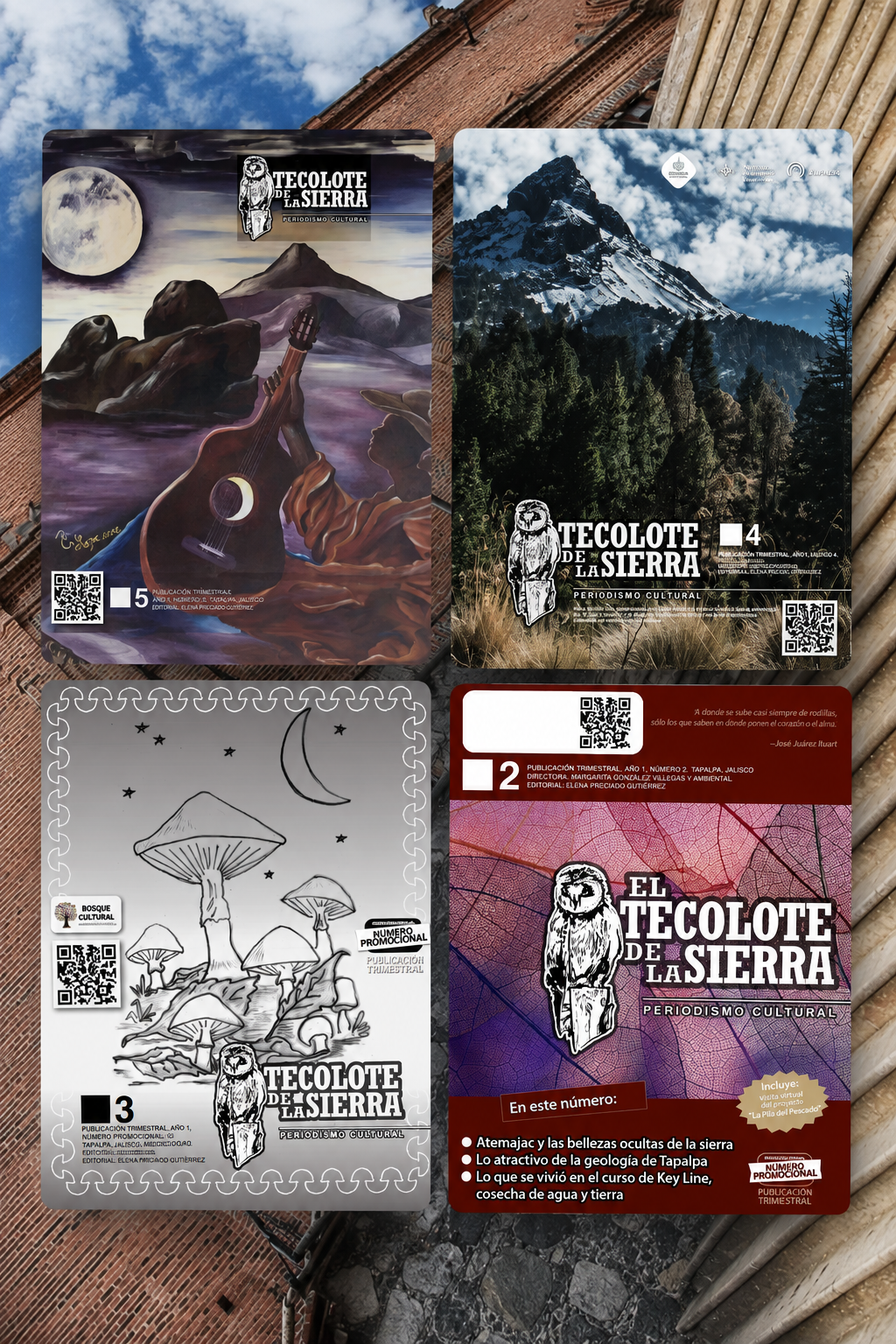 Colección digital de El Tecolote de la Sierra