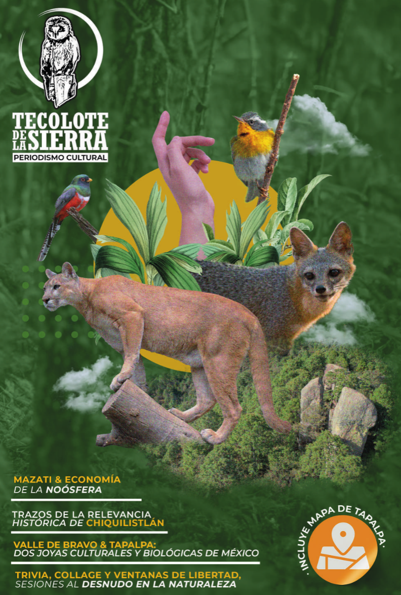 Portada del sexto número de El Tecolote de la Sierra